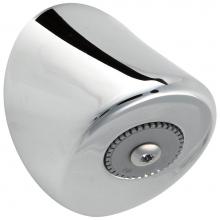 Delta Commercial 063196A - Commercial Instit Parts: 1.5 GPM Wall Mount Shower Head Complete