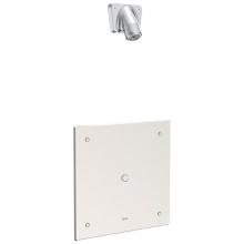 Delta Commercial 860T168 - Commercial 860T: Electronic Shower Trim with Push Button Activator- Hardwire