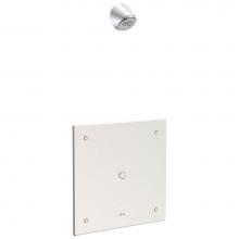 Delta Commercial 860T178 - Commercial 860T: Electronic Shower Trim with Push Button Activator