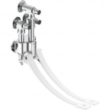 Delta Commercial 54T5300A - Commercial 54T5: Wall Mount Double-Pedal Surgeon''s Scrub-up