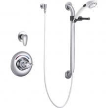 Delta Commercial T13H303 - Commercial T13H: Universal Dual Shower Trim, Diverter, Hand Shower, and Grab Bar