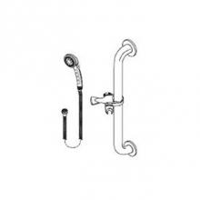 Delta Commercial RPW124HDF - Commercial HDF®: Single-Setting Hand Shower w/ Grab Bar