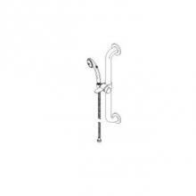 Delta Commercial RPW136HDF - Commercial HDF®: Single-Setting Hand Shower w/ Grab Bar