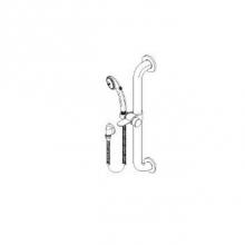 Delta Commercial RPW336HDF - Commercial HDF®: Single-Setting Hand Shower w/ Grab Bar & Elbow