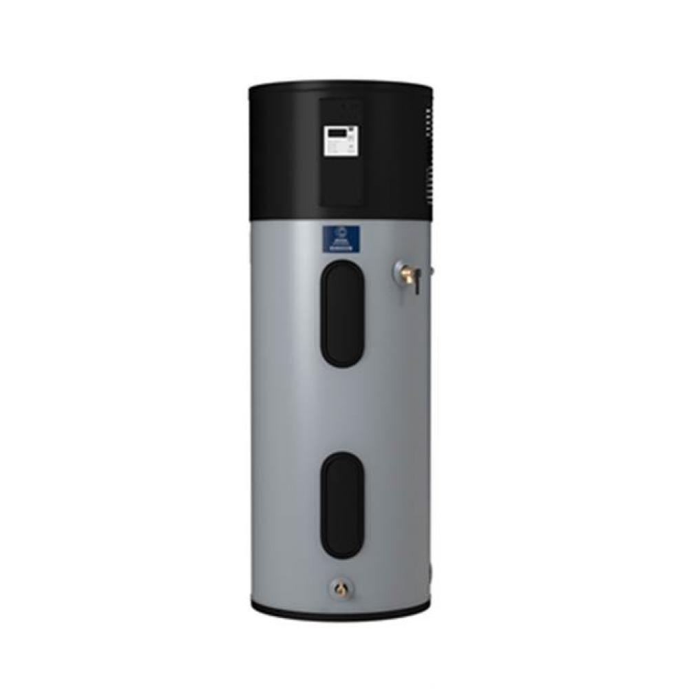 Premier 66-Gallon Hybrid Electric Heat Pump Water Heater