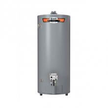 State Water Heaters 100280200 - ProLine Low NOx 74-Gallon High Recovery Atmospheric Vent  Liquid Propane Water Heater