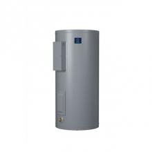 State Water Heaters 100351882 - Patriot Light Duty