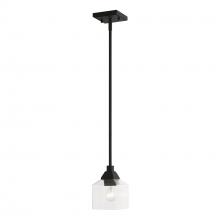 Livex Lighting 49761-04 - 1 Light Black Mini Pendant