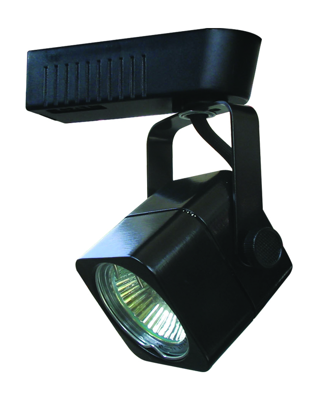 12V 75W  TRACK FIXTURE W/18in EXT