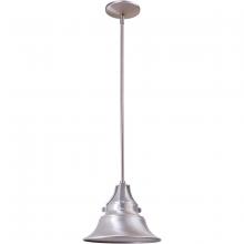 Craftmade Z4401-SA - Union 1 Light Small Outdoor Pendant in Satin Aluminum