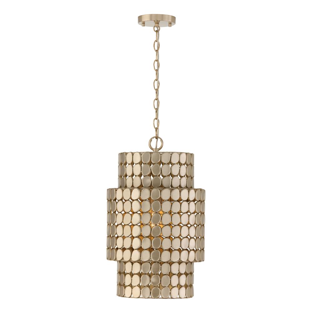 1-Light Medallion Cylindrical Pendant in Champagne Brass