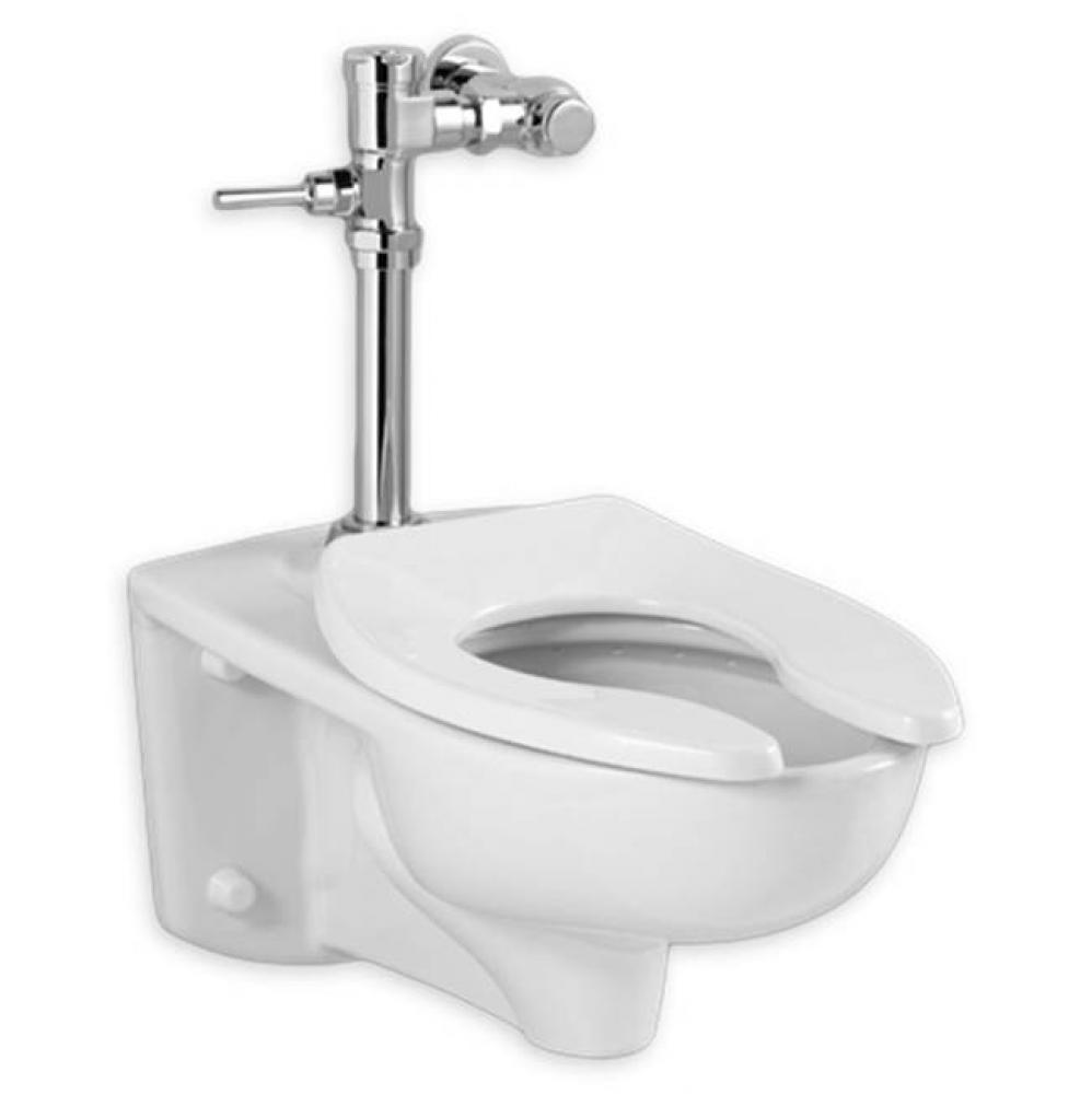 Afwall&#xae; Millennium&#xae; Wall-Hung EverClean&#xae; Toilet System With Manual Piston Flush Val