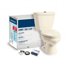 Mansfield Plumbing 043820517 - Summit Dual Flush Elongated Complete Toilet Kit