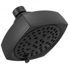 Peerless RP100987BL - Parkwood® Shower Head