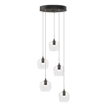 Hubbardton Forge 131123-SKT-STND-05-ZM0709 - Ume 5-Light Pendant