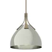 Hubbardton Forge 134502-SKT-MULT-84-85 - Summit Pendant