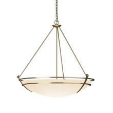 Hubbardton Forge 194431-SKT-86-GG0170 - Presidio Tryne Large Scale Pendant