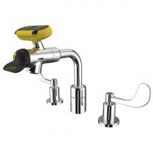 Speakman SEF-1800-8-LFTW - Gooseneck Eyewash