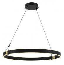  P5406-689-L - LED PENDANT