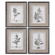 Uttermost 32510 - Casual Grey Study Framed Art Set/4