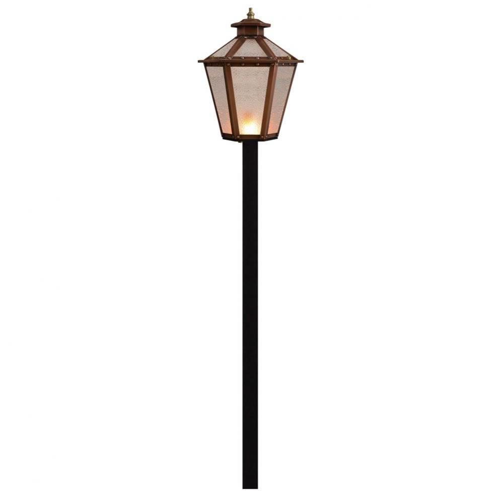 Bayou Street Outdoor Torch 12 Volt - Ships with 12 volt Weiyan