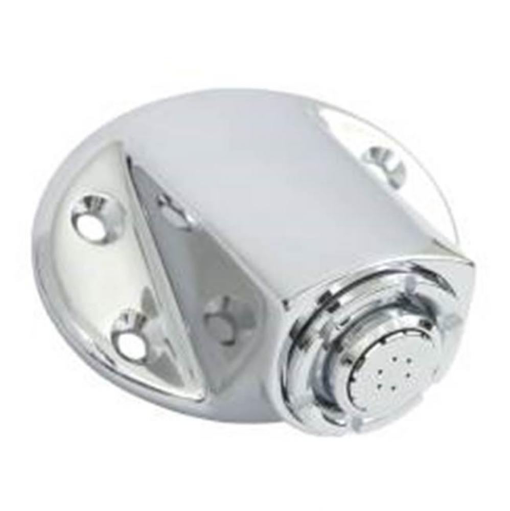 Chrome showerhead