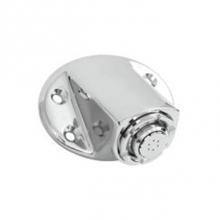 Moen Commercial 8290 - Chrome showerhead