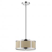 Trend Lighting by Acclaim TP7594 - Butler 2-Light Convertible Flushmount