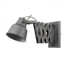 Trend Lighting by Acclaim TW40060GY - Plexus 1-Light Sconce